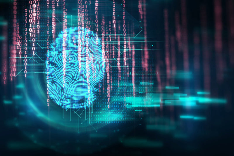 Protecting Employee Safety: The Importance of Data Security in Time Tracking and Biometric Systems